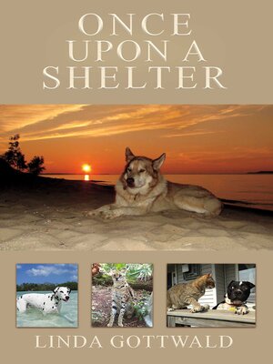 cover image of Once Upon a Shelter
